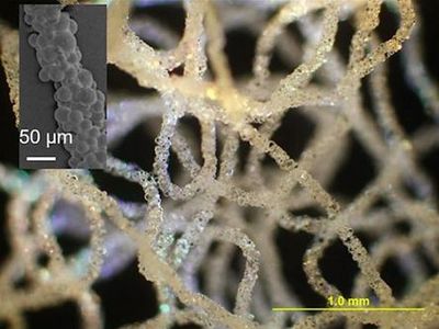 科學家研發(fā)出用于生物醫(yī)學的3D打印硅膠技術